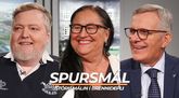 Spursmál: Rugby-rimma, remúlaðislys og umdeildur kjörþokki