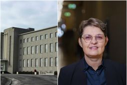 Kolbrún Þ. Pálsdóttir er forseti menntavísindasviðs.