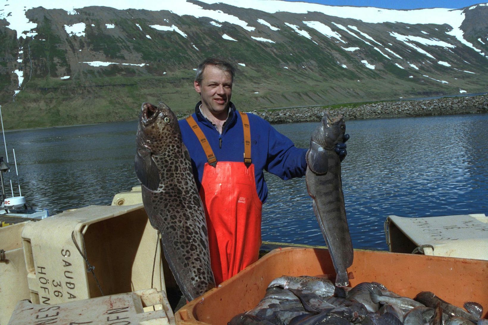 Hlýrinn er þekktur meðafli með öðrum veiðum en stofninn er …