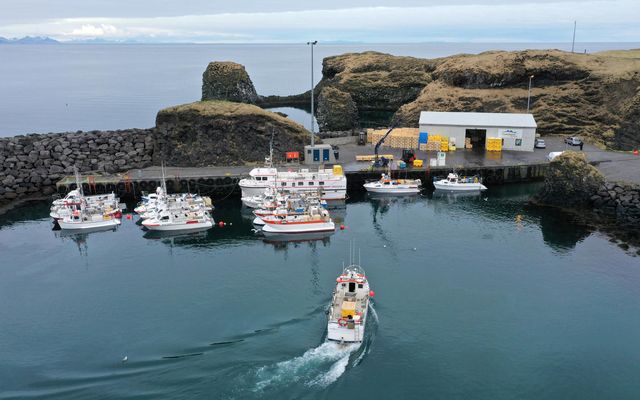 Ekki verður heimilt að veiða meira en 375 tonn af rækju út af Snæfellsnesi á …