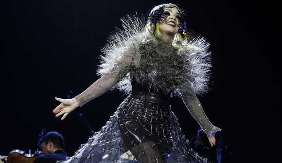 Björk varar við frumvarpi ríkisstjórnarinnar