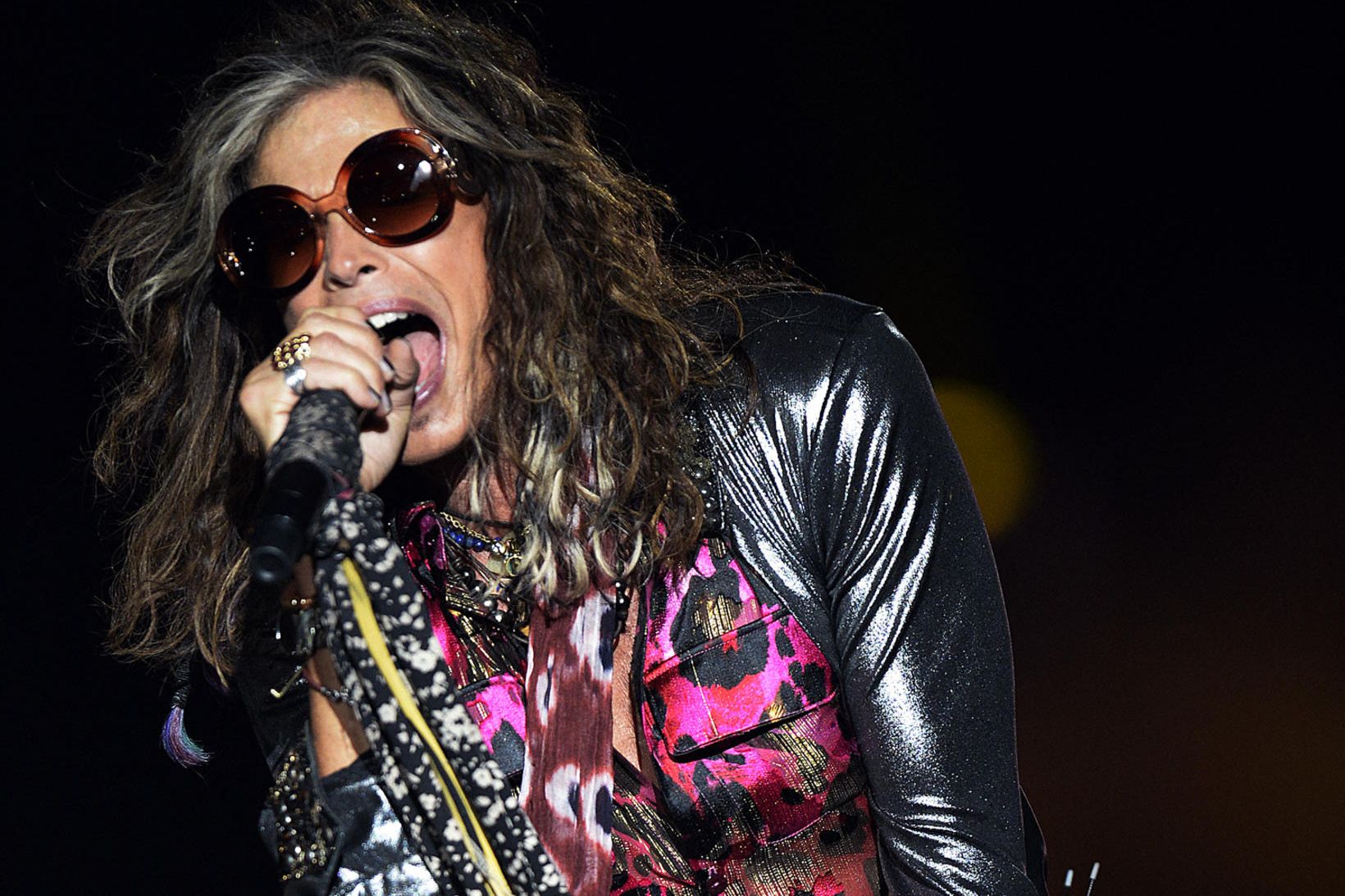 Steven Tyler fer fyrir dóm