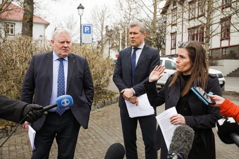 The Icelandic government approved the suggestions of a committee on refugee affairs at a meeting this morning.