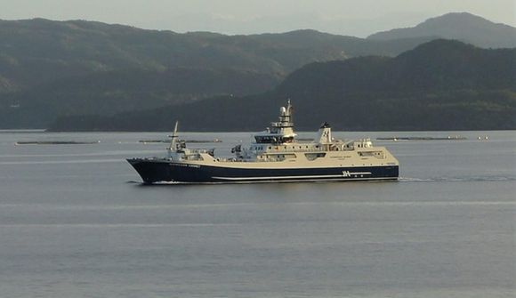 Norwegian Gannet til Íslands vegna laxadauða