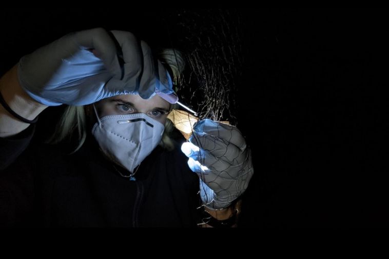 Turned down by the University of Iceland — but still admires Iceland