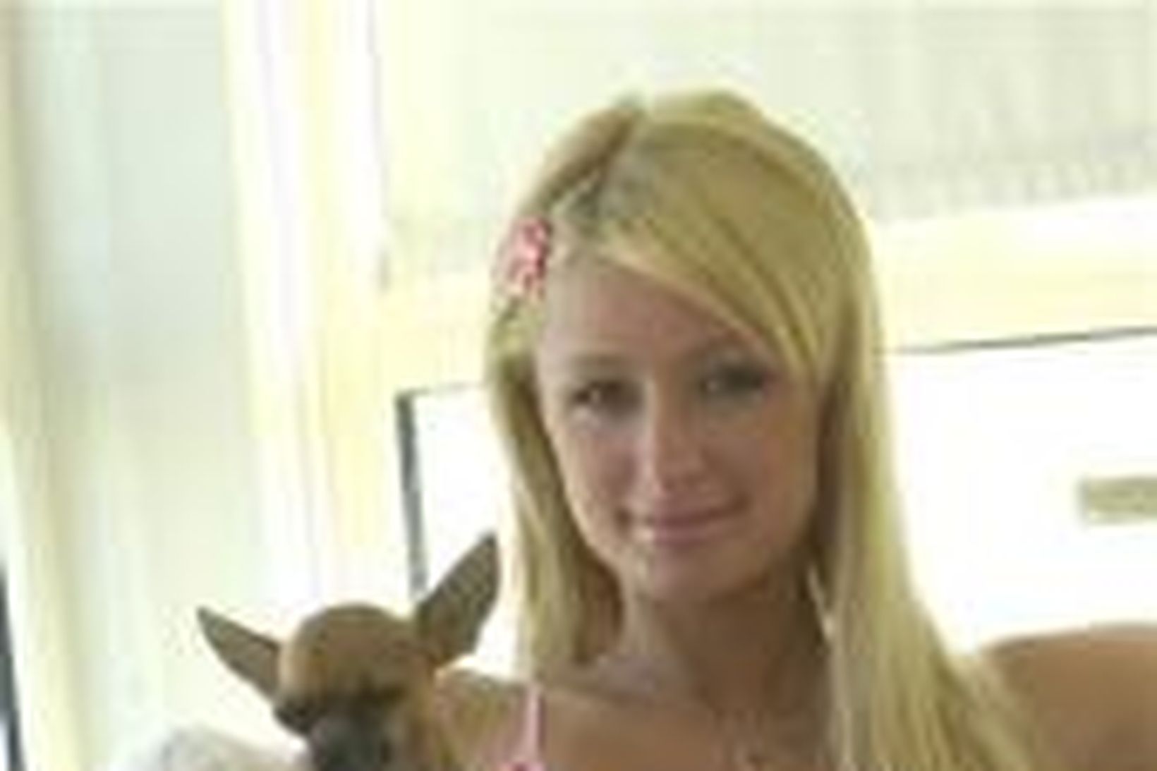 Paris Hilton með hundinn Bláklukku.