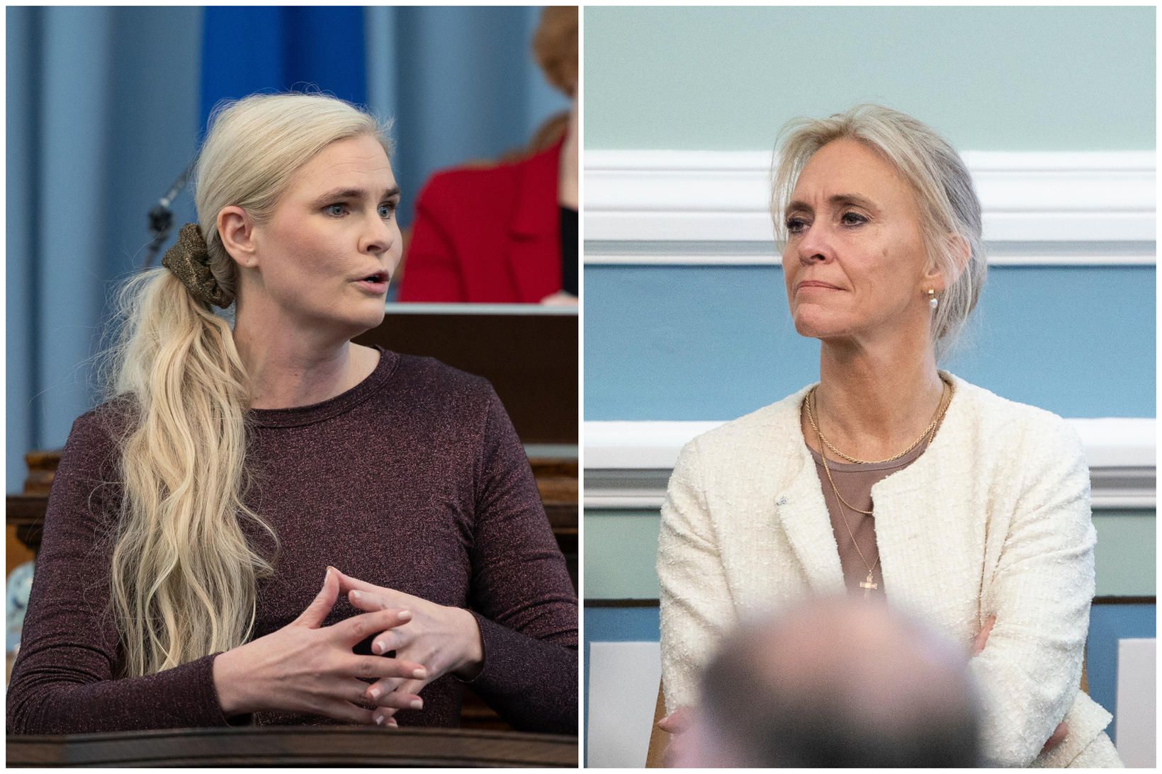 Svör um ESB-aðlögun „málum blandin“