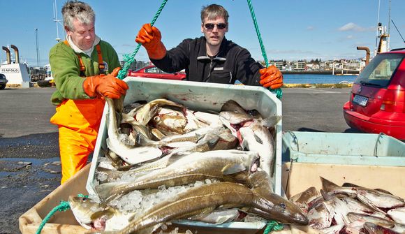 Aflaheimild aukin um 2 þúsund tonn