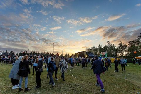 There are great many festivals taking place this weekend, the problem is choosing where to go.