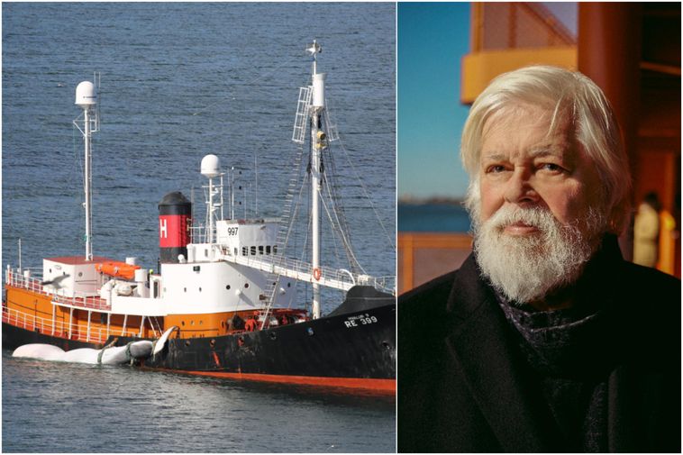 Paul Watson announces new anti-whaling campaign in Iceland