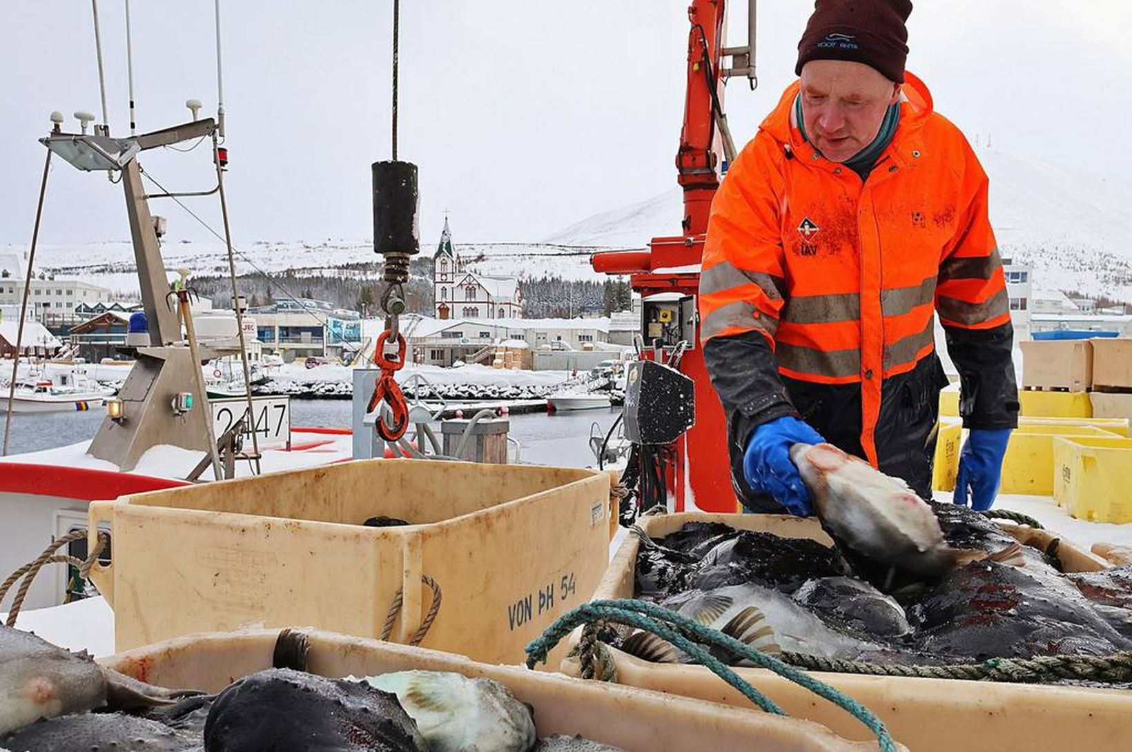 Yfir 100 skip fá ekki grásleppukvóta