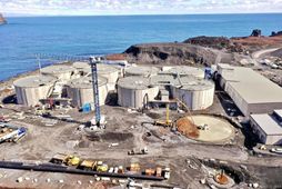 Laxey byggir upp landeldi á laxi í Vestmannaeyjum