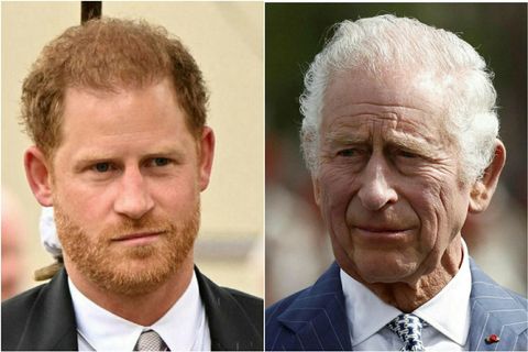 Harry hefur í gegnum tíðina gagnrýnt fjölskyldu sína, rétt eins og eiginkona hans Meghan Markle.