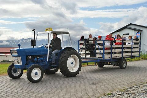 Locals guide tourists around the island on a tractor.