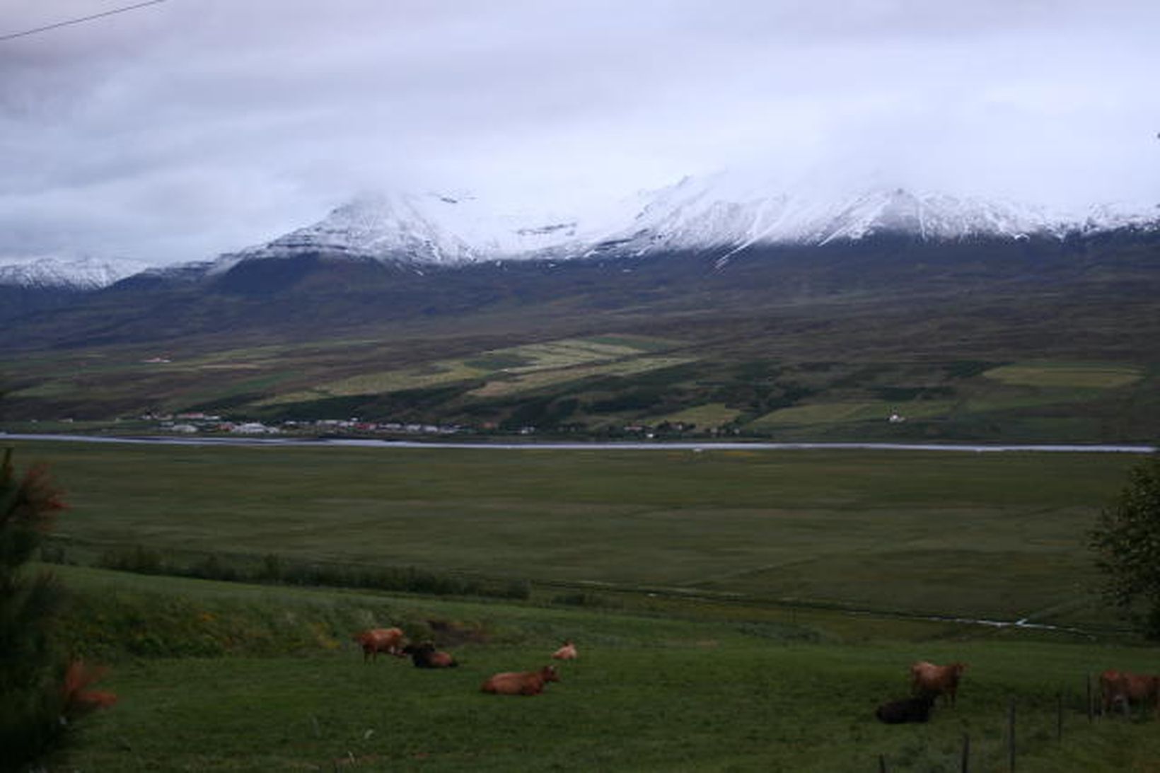 Fjallið Kerling í Eyjafirði, sem er hæsta fjall í byggð …