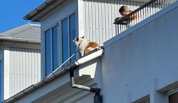 Sat fastur á þaki eftir að hafa flúið af svölunum