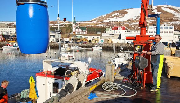 16 tunnur af sulli eftir að hafa dregið einu sinni