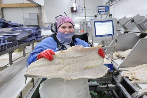 Ásdís Björk Sigurðardóttir vigtar saltfiskinn. Glaðbeitt heldur hún hér á vænu flaki af flattri löngu.