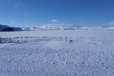 There is still ice on Þingvallavatn lake.