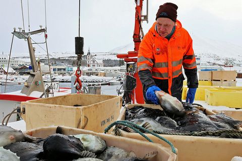 Fyrir liggur frumvarp í atvinnuveganefnd Alþingis um breytingar á lögum sem sett voru á um …
