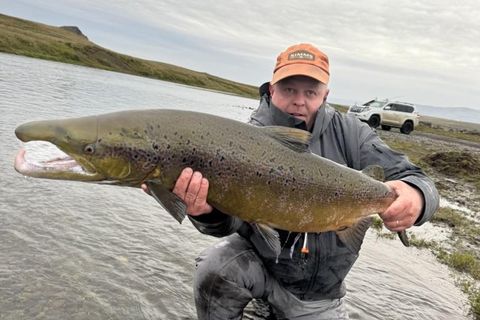 Stefán Elí Stefánsson með 101 sentímetra hænginn úr Dalsárósi í Víðidalsá í morgun. Tími þeirra …