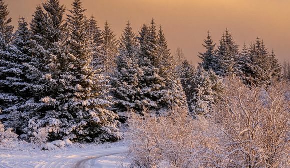 Allt að 21 stiga frost 