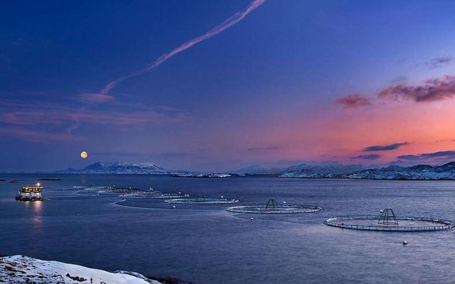 Sjókvíar laxeldisfyrirtækja í norður Þrændalögum í Noregi. Eldislax er ráðandi í útflutningi norsks sjávarfangs.