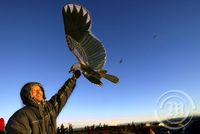 Kínverskir flugdregar á lofti yfir Valhúsahæð