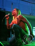 Iggy Pop