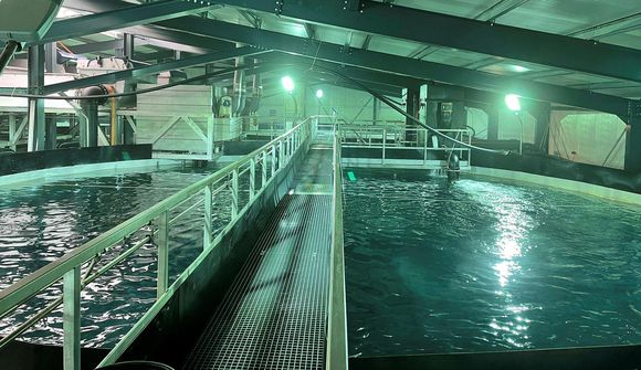 Stefnt að 2.700 tonna seiðaeldi á Kópaskeri