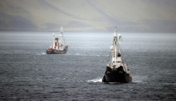 Vertíðinni lokið: 24 hvalir veiddir