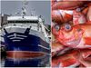 Russian Trawlers Fishing for Ocean Perch in International Waters Near Icelandic Jurisdiction.