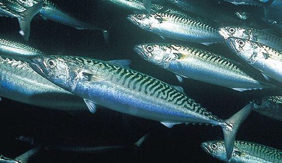 Norðmenn og ESB náðu ekki saman