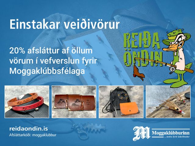 Reiða öndin