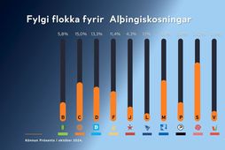 Samfylking í sérflokki