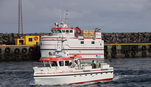 Reglur Hafró lykill að sjálfbærni