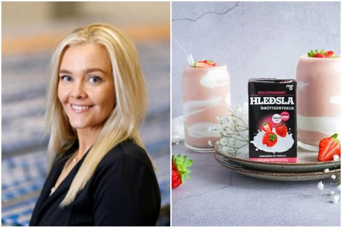 Nýjasta æðið hjá Halldóru Arnadóttur er hleðslubúst með jarðarberjum og vanillu.