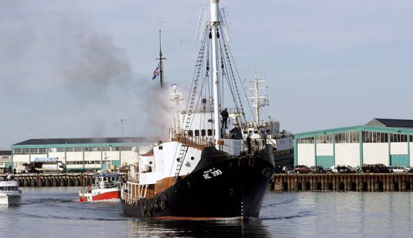 Hóta eyríki vegna hvalveiða Íslands