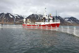 Fyrirtækið áformar að auka magn sjókvíeldisins um 600 tonn.