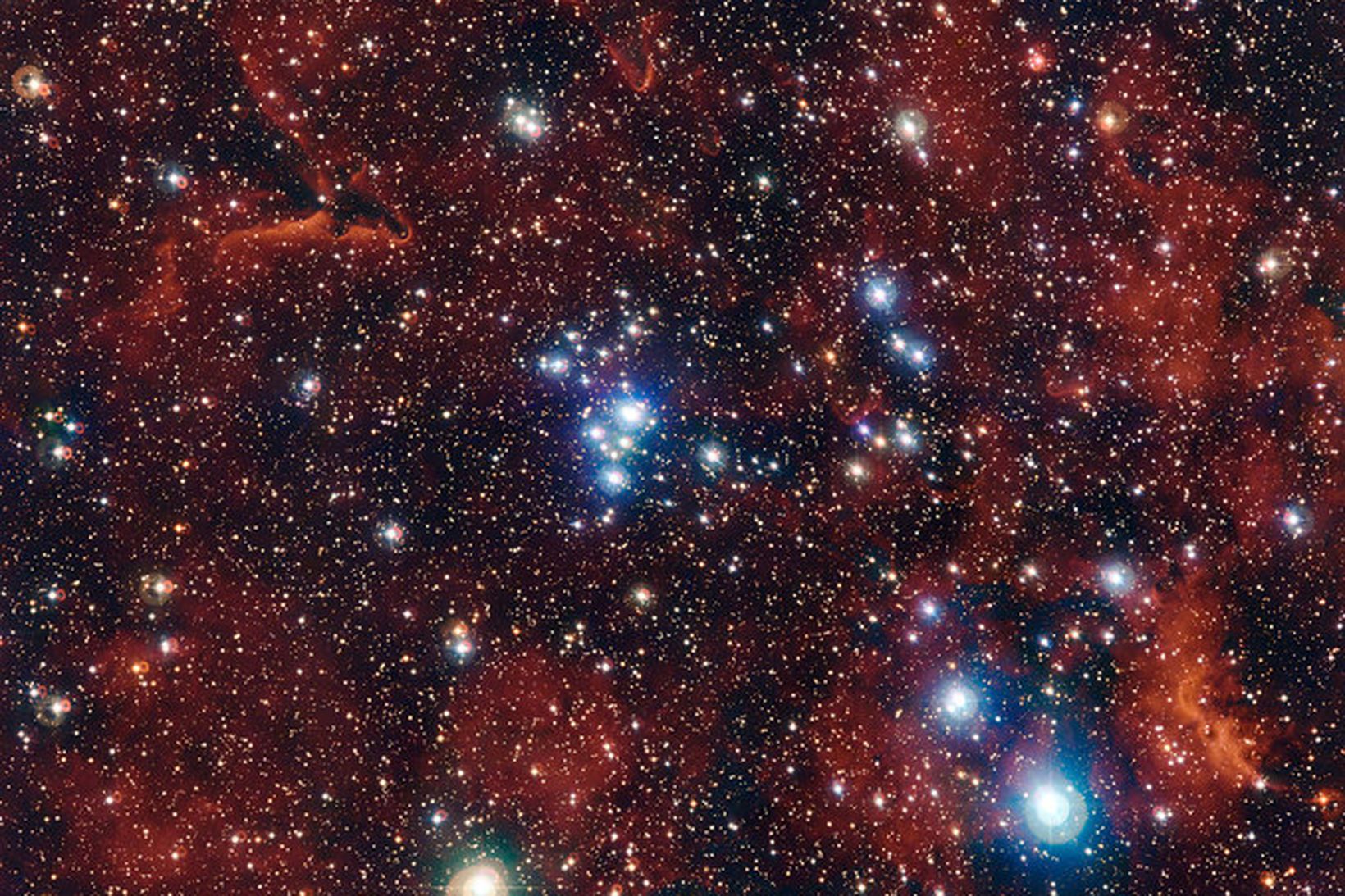 Stjörnuþyrpingin NGC 2367 samanstendur af bláleitum stjörnum sem enn eru …