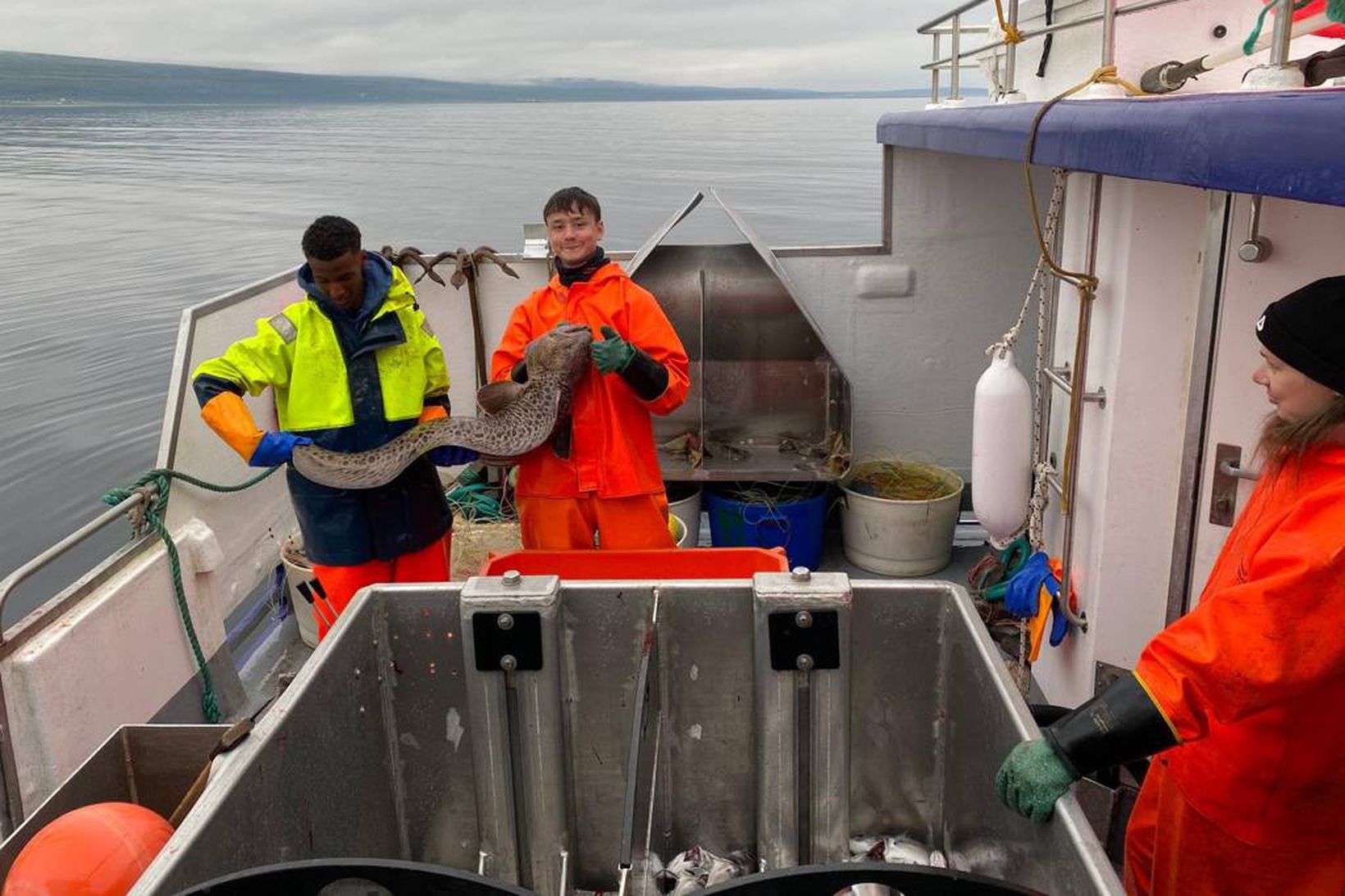 Ungir sjómenn ánægðir með vænan steinbít sem fékkst á ungmennaveiðum …