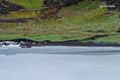 Tumavík Ferðaþjónustubændurnir Hildur Sigurðardóttir og Sigurður Þór Guðmundsson kunna að taka á móti gestum við allar aðstæður. Farþegar voru ferjaðir í land og fengu hlýjar móttökur.