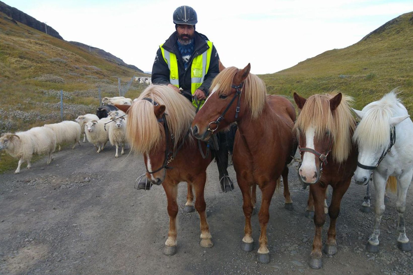 Guðmundur Árnason á hestbaki með þrjá klára í taumi.