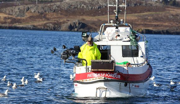 Búast við fréttum af framtíð strandveiða í dag