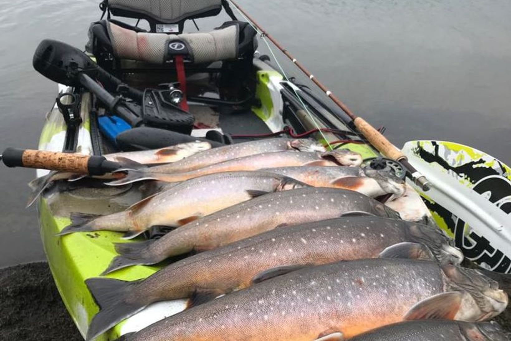 Ótrúlega flottar bleikjur og þær tóku allar heimatilbúnar púpur.