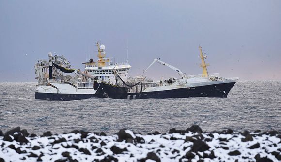 Loðnuleit ekki skilað neinum árangri