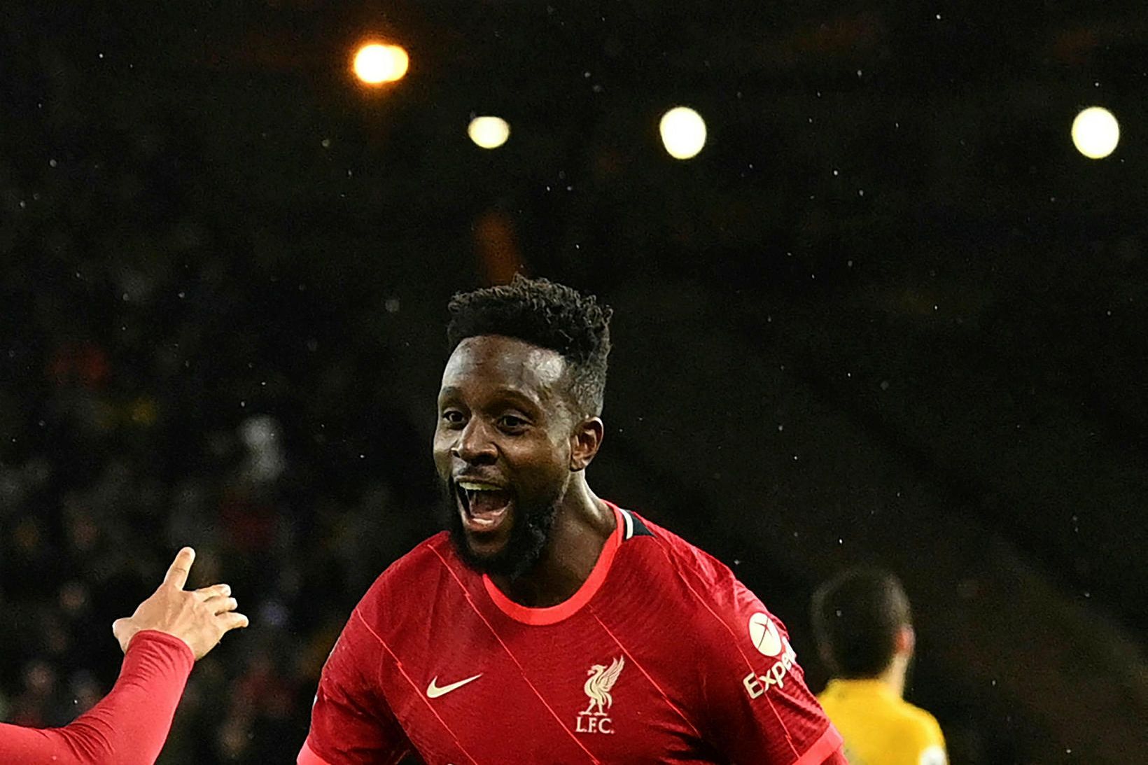 Divock Origi verður samningslaus næsta sumar.