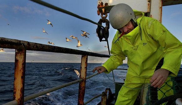 „Maður vonar að þetta séu endalokin“