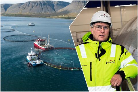 Daníel Jakobsson er forstjóri Arctic Fish sem er með sjókvíar víða á Vestfjörðum.