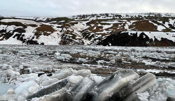 Klakabunkar þekja túnið